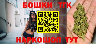 гашик Будённовск