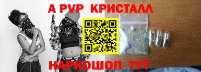 гашик Будённовск
