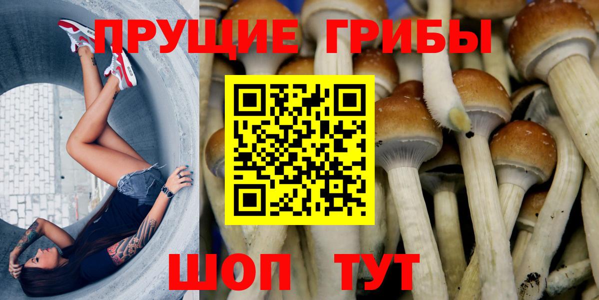 Сыктывкар  Псилоцибиновые грибы мицелий  Вход с VPN  Галлюциногенные грибы GOLDEN TEACHER 